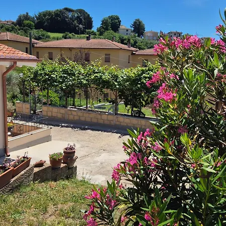 La Pergola Del Kiwi A Ferienhaus Pitigliano